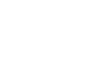 Multiverse Venture